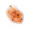 Hikari Bio-Pure Frozen Ocean Plankton 3.5 oz Blister Pack