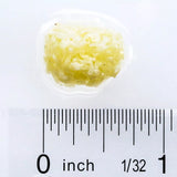 Hikari Bio-Pure Frozen Squid