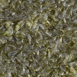 Hikari Bio-Pure Spirulina Mysis Shrimp