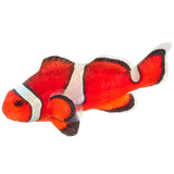 Misbar Orange Ocellaris Clownfish - Aquacultured