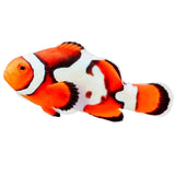 Nebula Picasso Clownfish - Aquacultured