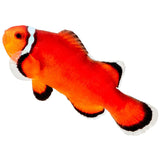 Extreme Misbar Ocellaris Clownfish - Aquacultured