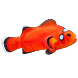 Triple Dot Ocellaris Clownfish - Aquacultured