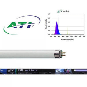 ATI Actinic T5 Lightbulb