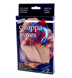 Fritz Catappa Leaves