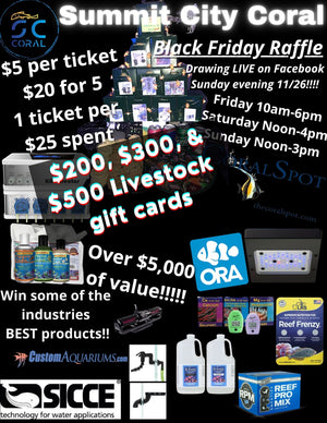 Black Friday 2023 Raffle ticket (please write in the notes before checkout what items you want your tickets in or we will not be able to figure it out)