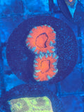 ECC Grade A Red Micromussa (Acanthastrea) Lordhowensis Coral