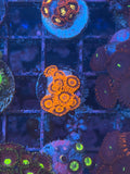 Orange Oxide Zoanthids Coral