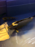 Naso Tang