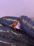 Scarlet Hermit Crab