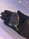 Emperor Angelfish