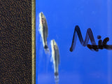 Otocinclus Catfish