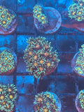 Orange Center Green Goniopora Coral