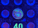 ECC Passion Fruit Acan Echinata Coral Frag