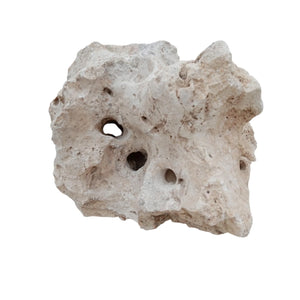 Texas Holey Aquascaping Rock (Sold per lb)