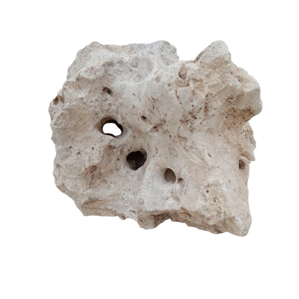 H2Pro Texas Holey Rock (Sold per lb) – Summit City Coral