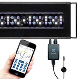 OPEN BOX 48-60" Orbit Marine LED w/Sensor