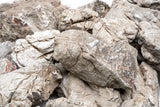 Elephant Skin Stone Rock (Sold per lb)