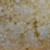 San Francisco Bay Brand Frozen Fish Eggs 3.5 oz Blister Pack