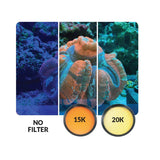 IceCap Mobile Phone Stackable Filter Lens Kit