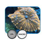 IceCap Mobile Phone Stackable Filter Lens Kit