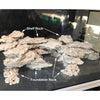 MarcoRocks Key Largo Prime Foundation Cut Rock - 1 Side Cut, 1 Side Natural (Sold per lb)