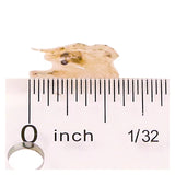 Piscine Energetics Frozen Mysis 8oz Flat Pack