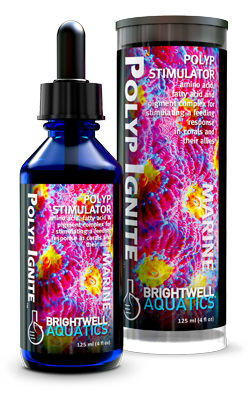 Brightwell Aquatics Poylp Ignite - Polyp Stimulator
