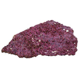 Real Reef Shelf Rock (Sold per lb)