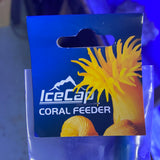 Coral feeder